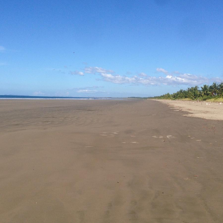 Show Pony Beach Resort And Suites Las Lajas  Exterior photo